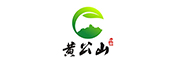 枞阳黄公山白茶